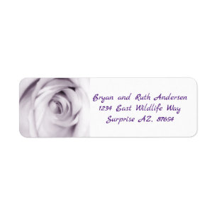 Purple rose
