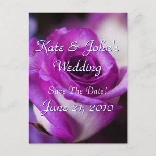 Purple Rose Announcement Postcard