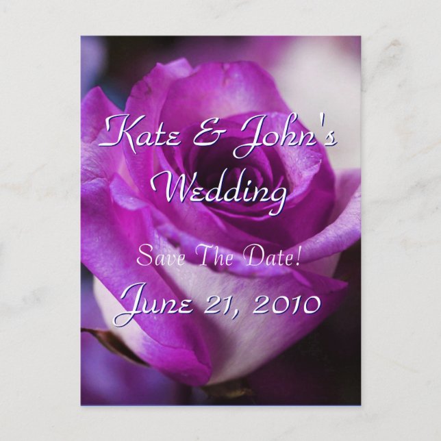 Purple Rose Announcement Postcard (Front)