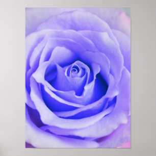Purple Rose Background Customised Lavender Blank Poster