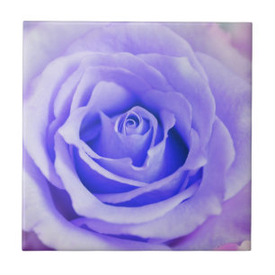 Purple Rose Background Customised Lavender Blank Tile