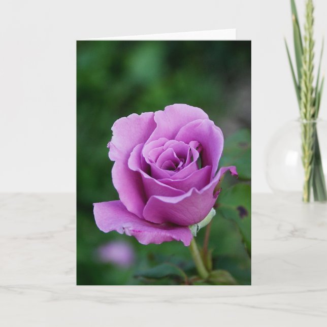 Purple Rose Card (Front)