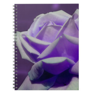 Purple Rose Flower Nature Notebook