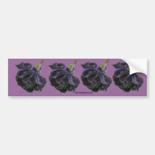 Purple Rose Flower Photo Bumper Sticker