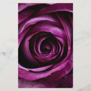 Purple Rose Flower Stationery