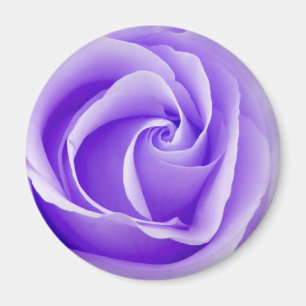 Purple Rose Magnet