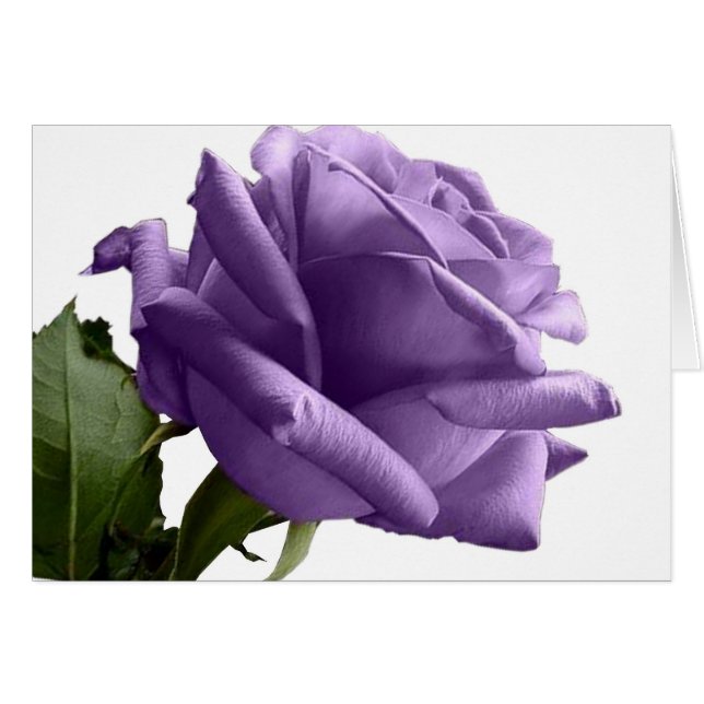 Purple Rose Note Cards (Front Horizontal)