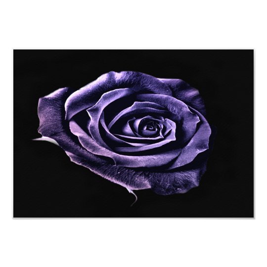 Purple rose rsvp card