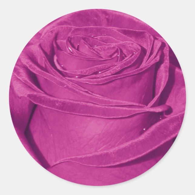 Purple Rose Sticker (Front)