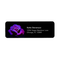 Purple Rose With Water Drops on Black Background