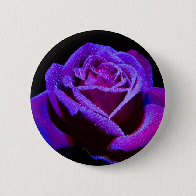 Purple Rose With Water Drops on Black Background 6 Cm Round Badge (Front)