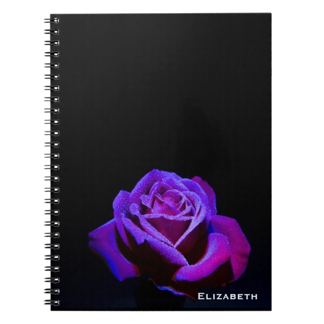 Purple Rose With Water Drops on Black Background Notebook (Front)