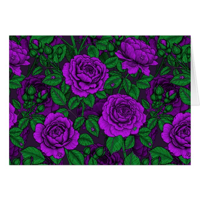 Purple roses (Front Horizontal)