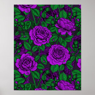 Purple roses poster