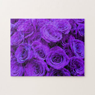 Purple  roses - romantic floral photo jigsaw puzzle