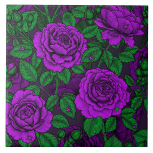 Purple roses tile