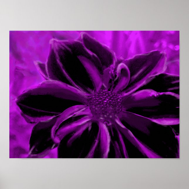 purple royal poster (Front)
