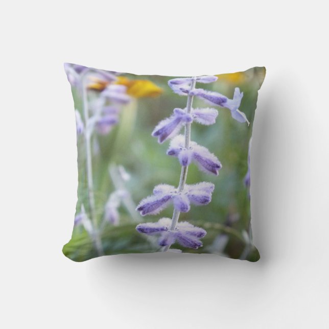 Purple Russian Sage Flower Throw Pillow (Front)