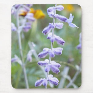 Purple Russian Sage -Pervoskia Mouse Mat