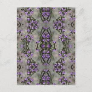 Purple Salt Heliotrope Wildflower Pattern Postcard