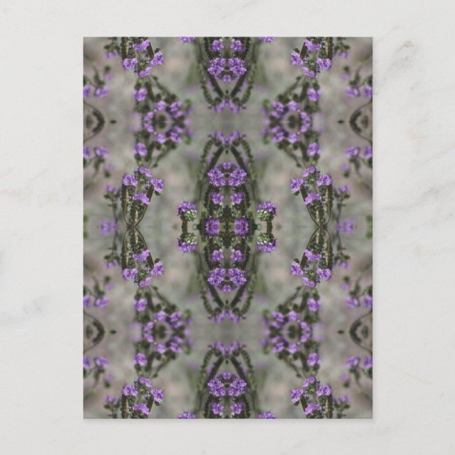Purple Salt Heliotrope Wildflower Pattern Postcard (Front)