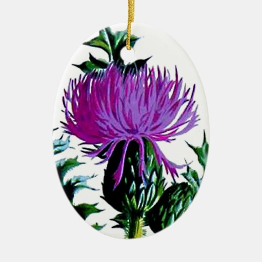 Purple Scottish Garden Thistle Christmas Ornament Zazzle.co.uk