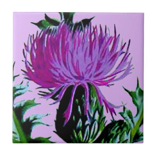 Purple Scottish Garden Thistle Tile