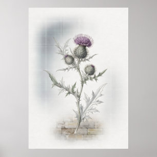 Purple Scottish Thistle Watercolor Poster
