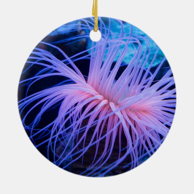 Purple Sea Anemone Marine Life Ceramic Tree Decoration (Back)