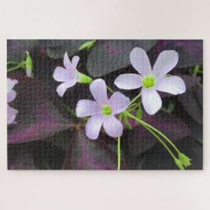 Purple Shamrock Plant Flowers Close-Up Photograph Jigsaw Puzzle