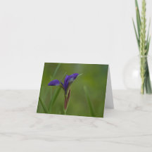 Purple Siberian Iris Folded Thank You Card