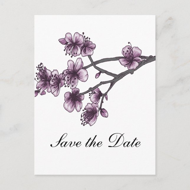 Purple Simple Cherry Blossoms Save the Date Announcement Postcard (Front)