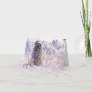 purple snow Leonberger Holiday Card