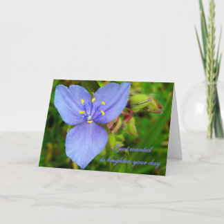 Purple Spiderwort Flower "Thinking of You" card