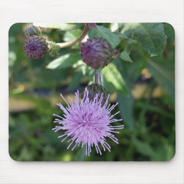 purple splash mouse mat (Front)