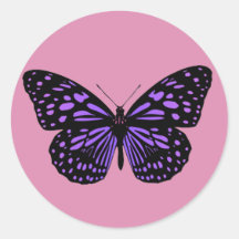 Purple Spotted Butterfly