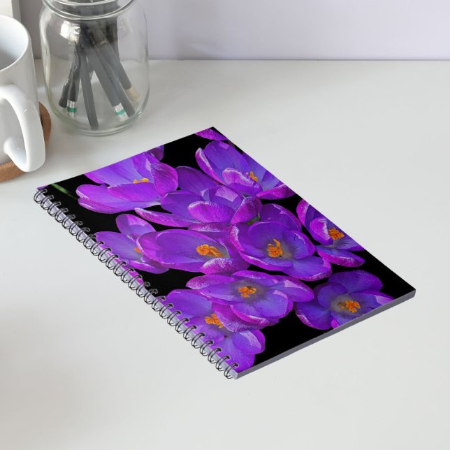 Purple Spring Crocuses on Black Floral Notebook (In Situ)
