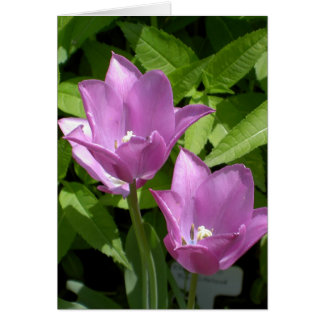 Purple Spring Flowers Customisable Borderless Card