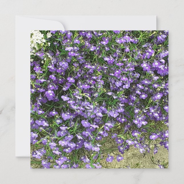 Purple Spring Flowers Flat Card (Front)