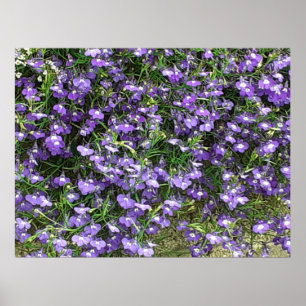 Purple Spring Flowers Poster
