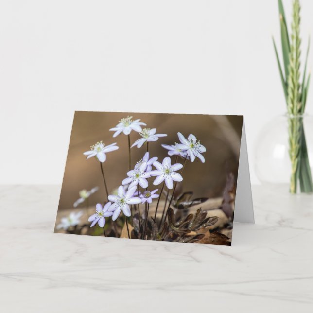 Purple Spring Wildflowers Note Card (Front)