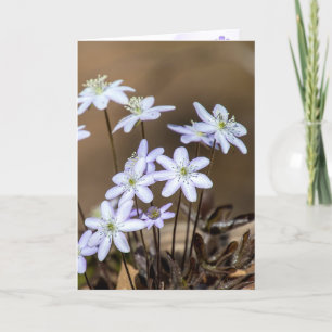 Purple Spring Wildflowers Thinking of You Card