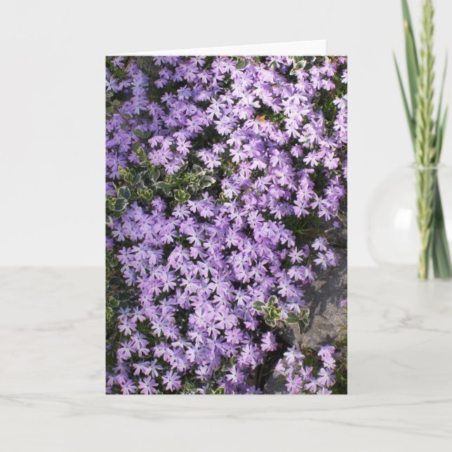 'Purple Springtime' Blank Greeting Card (Front)