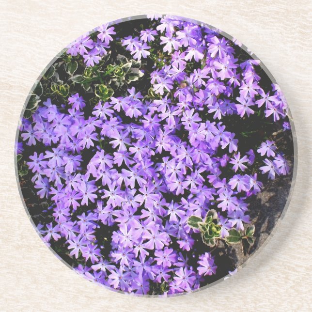 'Purple Springtime' Coaster (Front)