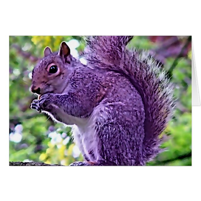 Purple Squirrel (Front Horizontal)