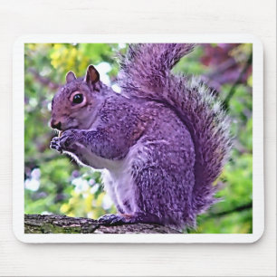 Purple Squirrel Mouse Mat