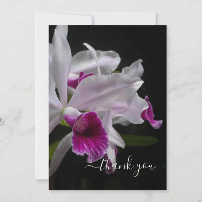 Purple-stained Laelia Orchids Thank You Card (Front)