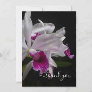Purple-stained Laelia Orchids Thank You Card