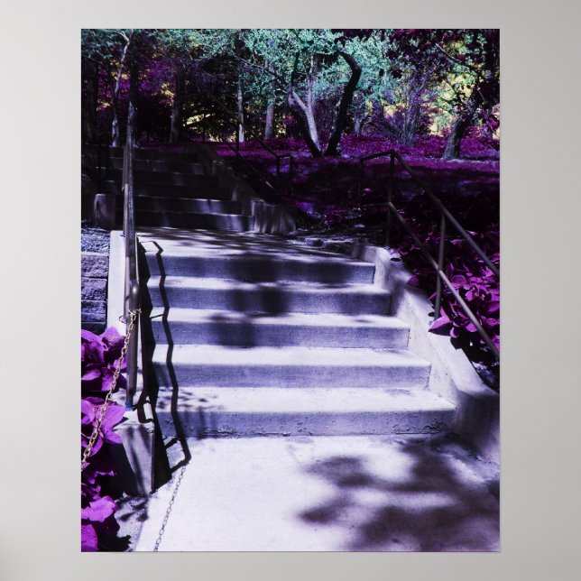 Purple Steps by the Purple Flowers Poster (Front)