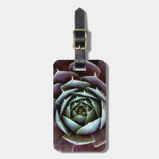 Purple Succulent Close-Up Luggage Tag (Front Vertical)